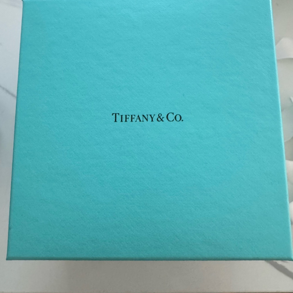 Tiffany & Co. Robin's Egg Blue Presentation Box